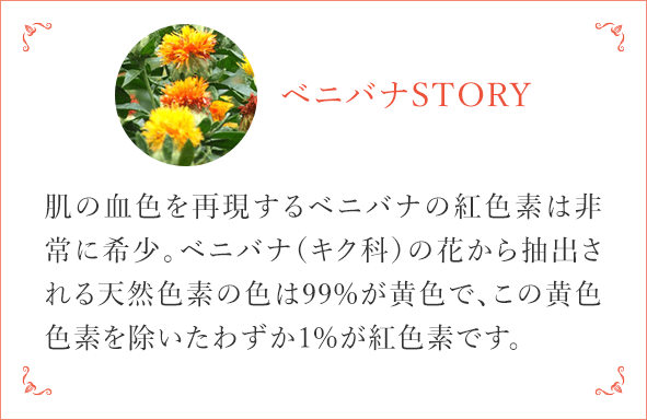 ベニバナSTORY 肌の血色を再現するベニバナの紅色素は非常に希少。ベニバナ（キク科）の花から抽出される天然色素の色は99%が黄色で、この黄色色素を除いたわずか1%が紅色素です。