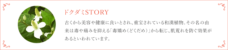 ドクダミSTORY 古くから美容や健康に良いとされ、重宝されている和漢植物。その名の由来は毒や痛みを抑える「毒矯め（どくだめ）」から転じ、荒れを防ぐ効果があるといわれています。