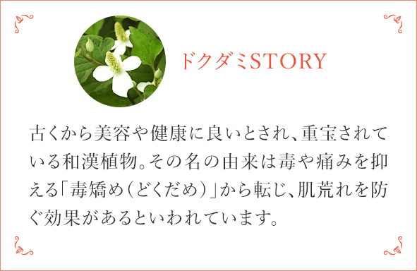 ドクダミSTORY 古くから美容や健康に良いとされ、重宝されている和漢植物。その名の由来は毒や痛みを抑える「毒矯め（どくだめ）」から転じ、荒れを防ぐ効果があるといわれています。